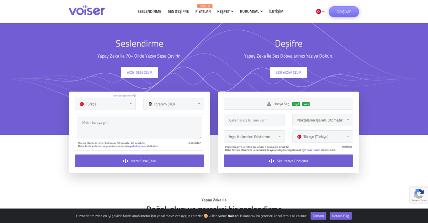 Voiser company image