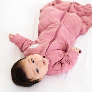 Weighted Transition Swaddle Sack for Babies product image