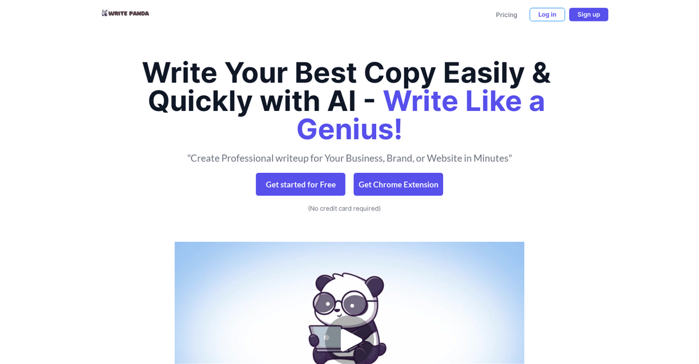 Write Panda company image