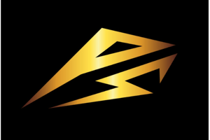 Artist Image
