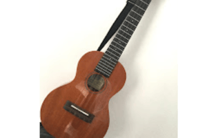 Artist Image