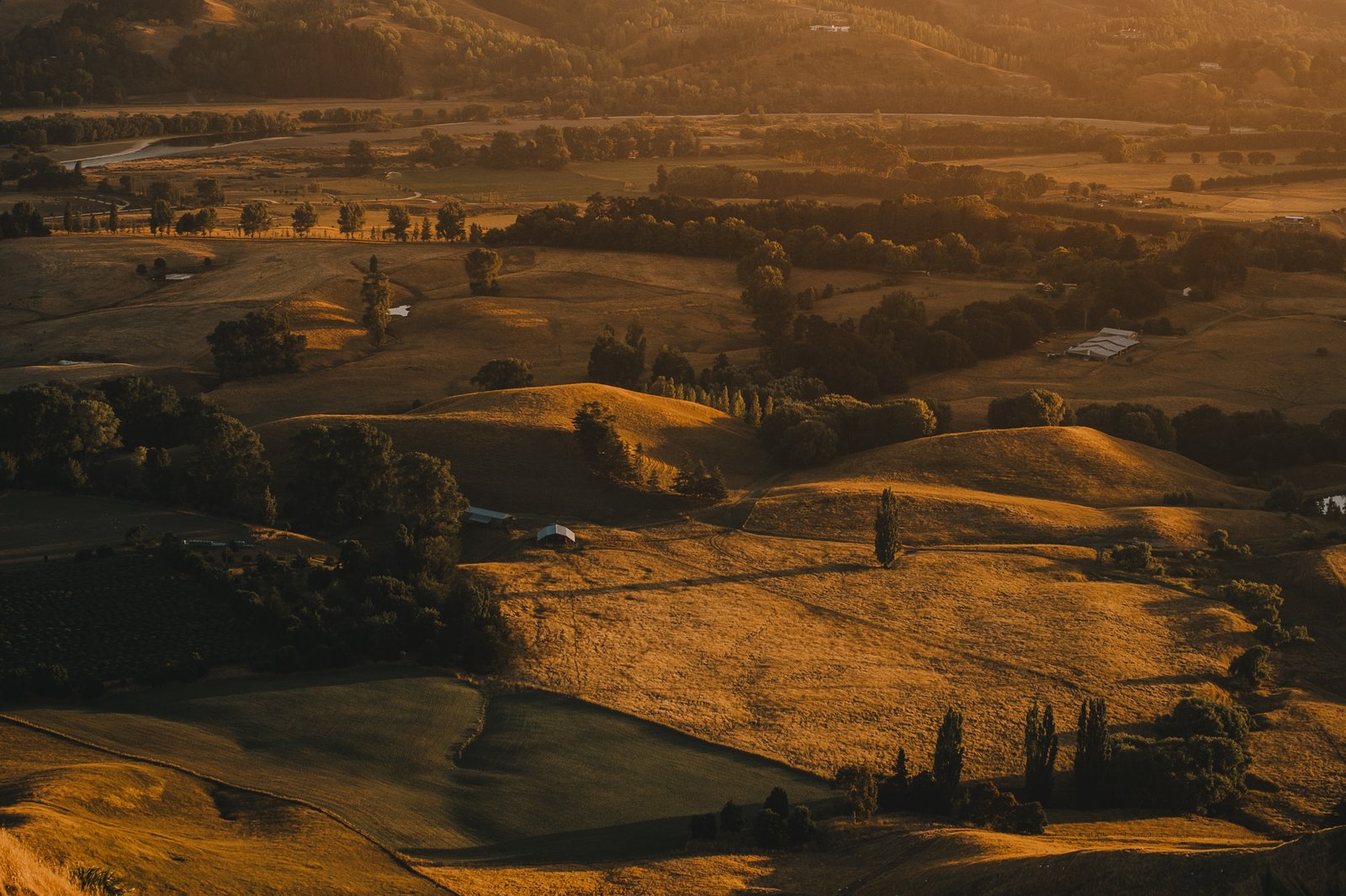 Farmland and rolling hills at sunset