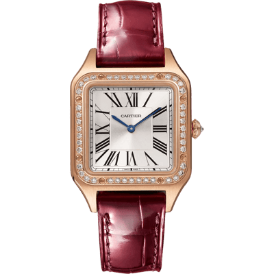 Cartier Santos Dumont Small Model