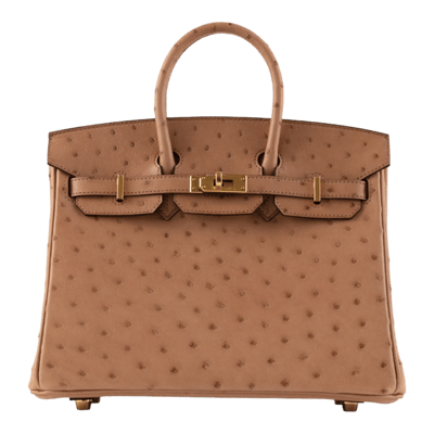 Herm&egrave;s Birkin 25 cm Autruche Chai Gold Hardware