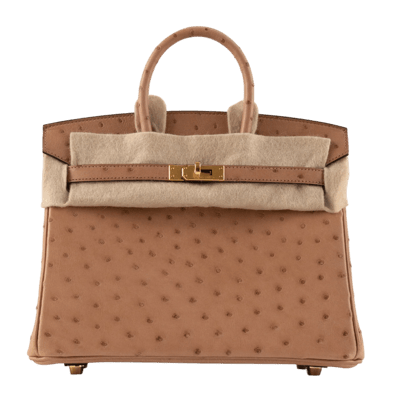 Herm&egrave;s Birkin 25 cm Autruche Chai Gold Hardware