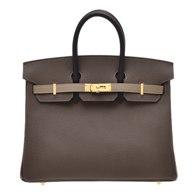 Herm&egrave;s Birkin 25 cm Epsom Tricolour Gold Hardware