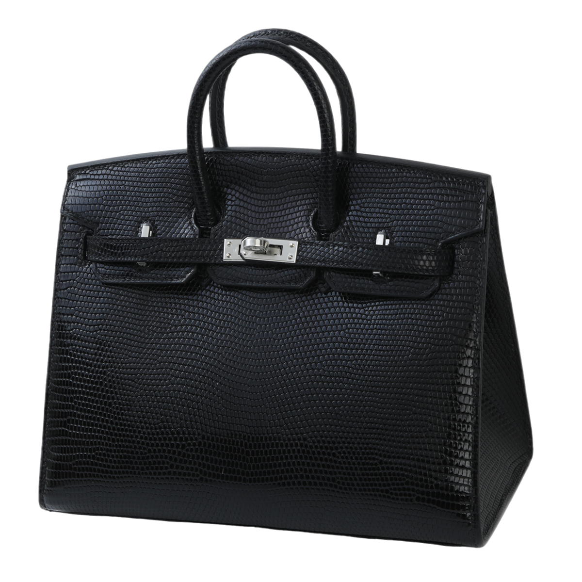 Transparent birkin sale