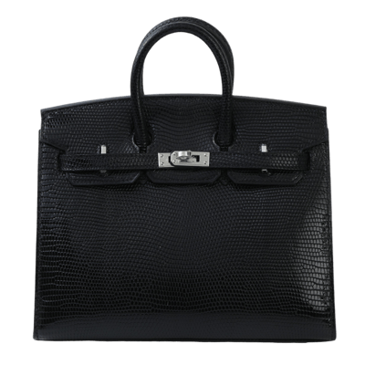 Herm&egrave;s Birkin 20 cm Sellier Varanus Niloticus Lizard Lisse Noir Palladium Hardware