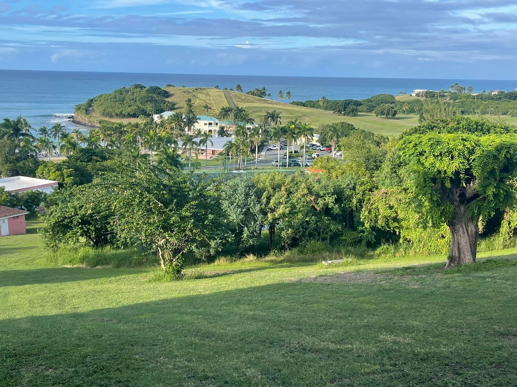 Photo of Buccaneer Beach (Resort Main Beach) in St. Croix