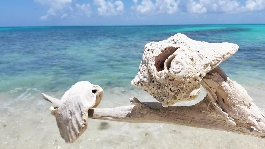 Photo of Buck Island (Turtle Beach) in St. Croix
