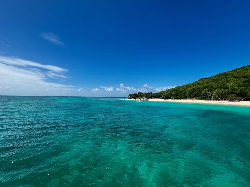 Photo of Buck Island (Turtle Beach) in St. Croix