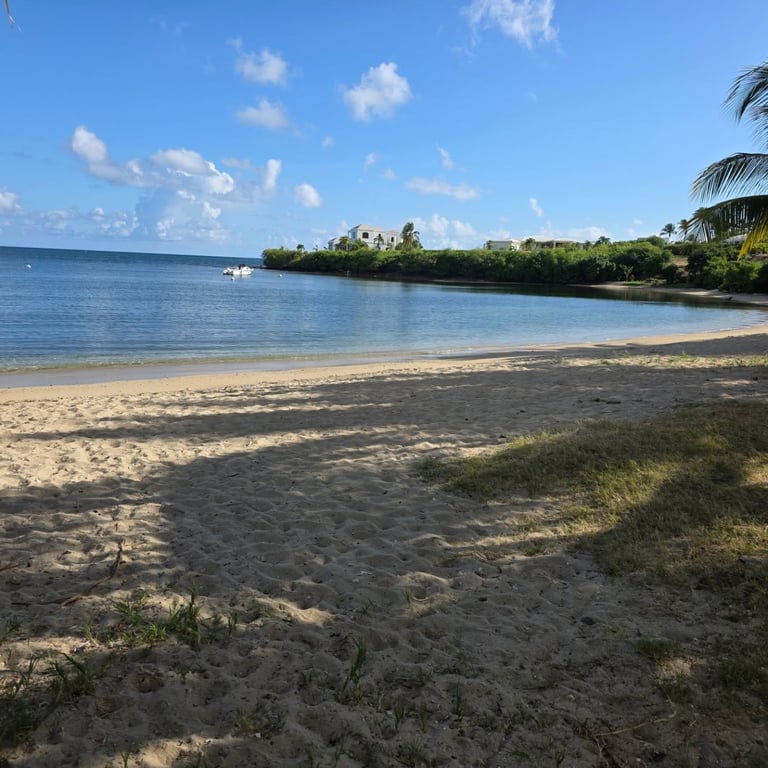 Photo of Chenay Bay Beach in St. Croix