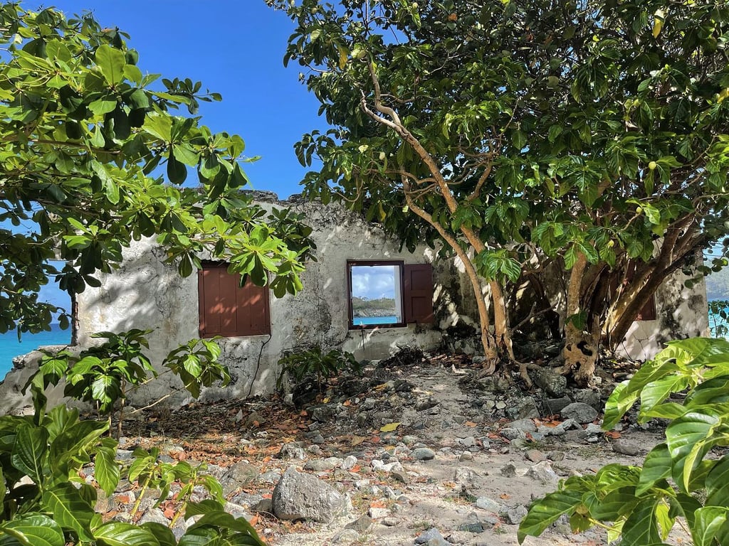 Photo of Cinnamon Bay Beach in St. John