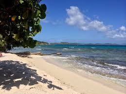 Photo of Coki Beach (Coki Point) in St. Thomas