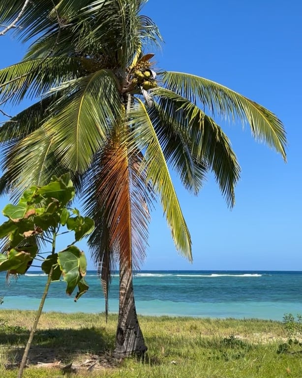 Photo of Columbus Landing (Salt River Bay) in St. Croix