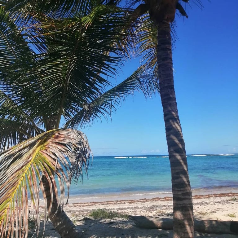 Photo of Columbus Landing (Salt River Bay) in St. Croix
