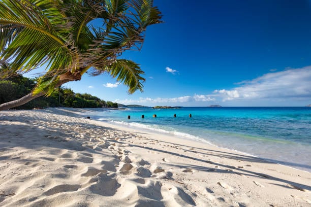 Denis Bay Beach