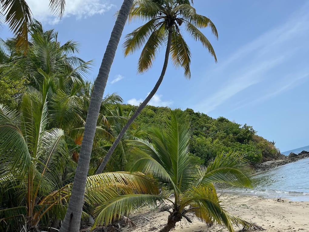 Photo of Dorothea Beach in St. Thomas