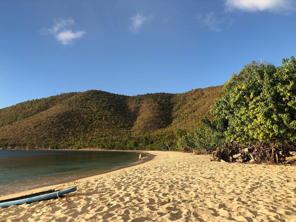 Photo of Francis Bay Beach in St. John