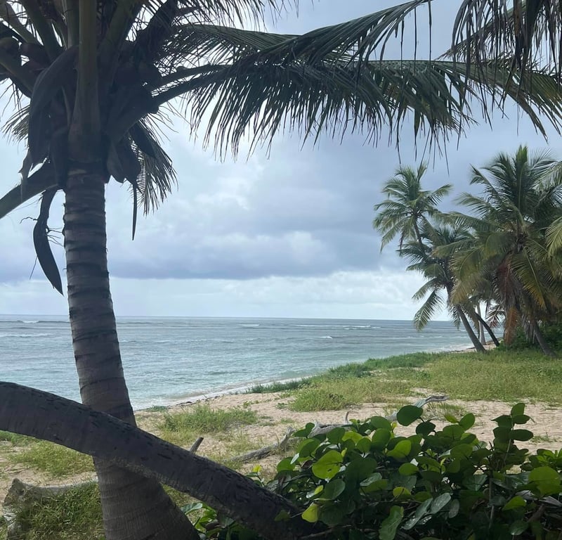 Gentle Winds Beach