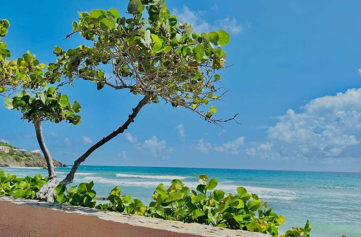 Grapetree Bay Beach
