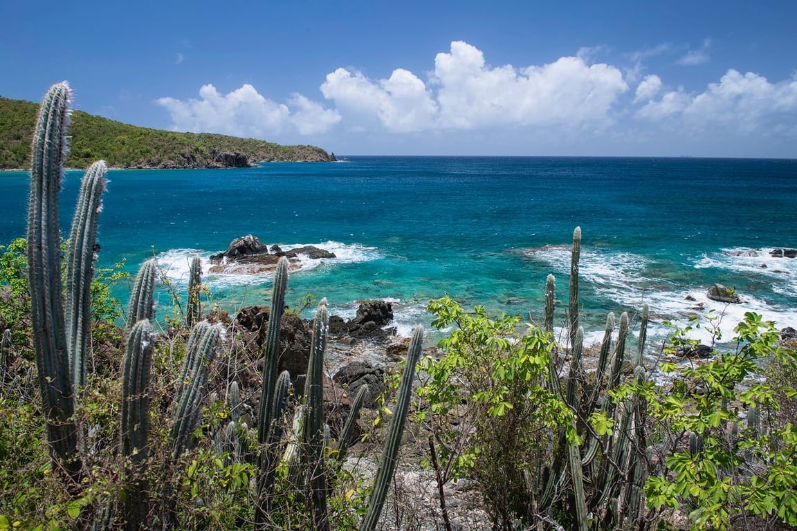 Photo of Great Lameshur Bay Beach in St. John