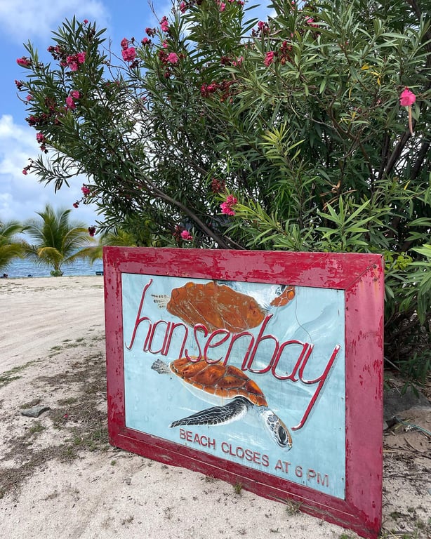 Photo of Hansen Bay Beach in St. John