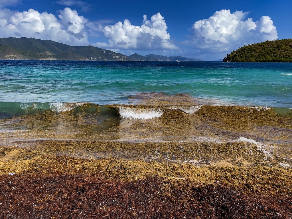Haulover Bay (North)