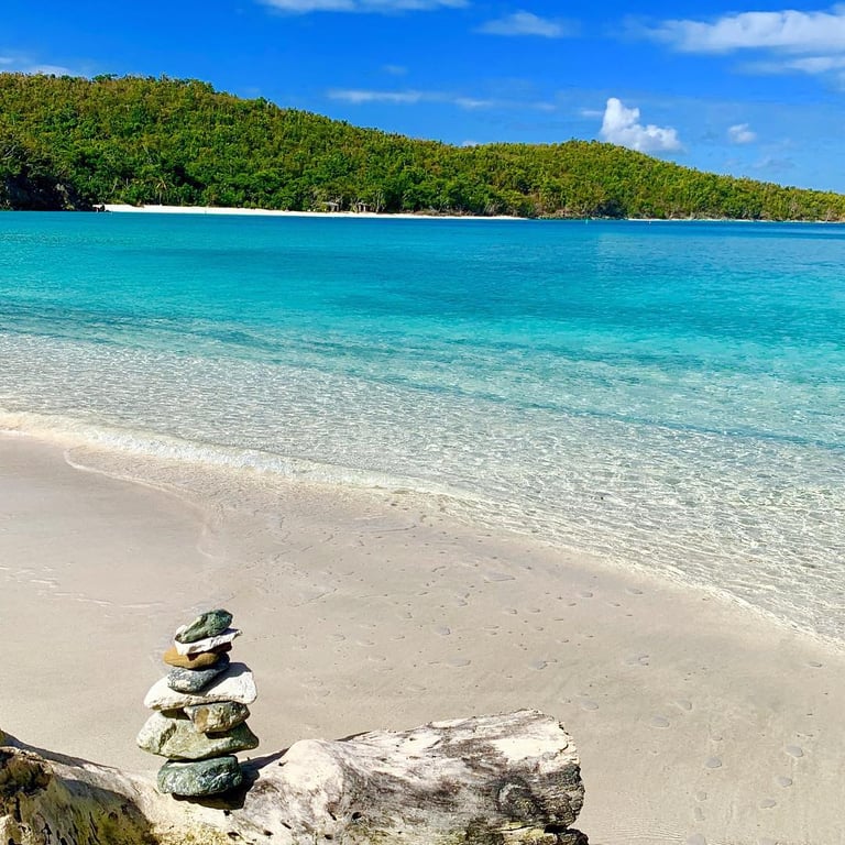 Photo of Hawksnest Beach in St. John