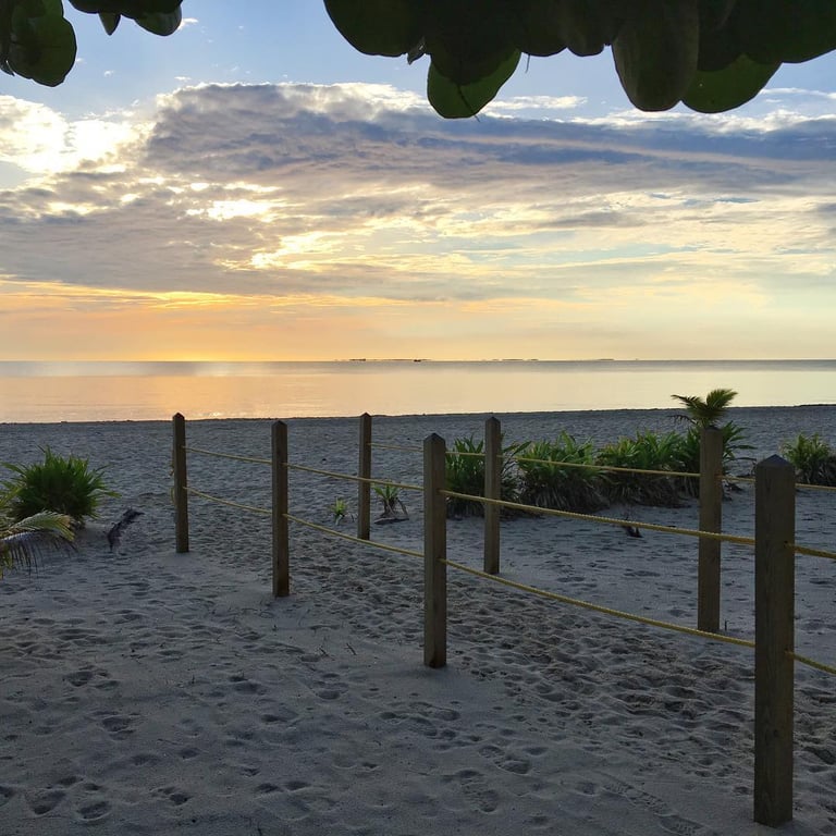 Hibiscus Beach