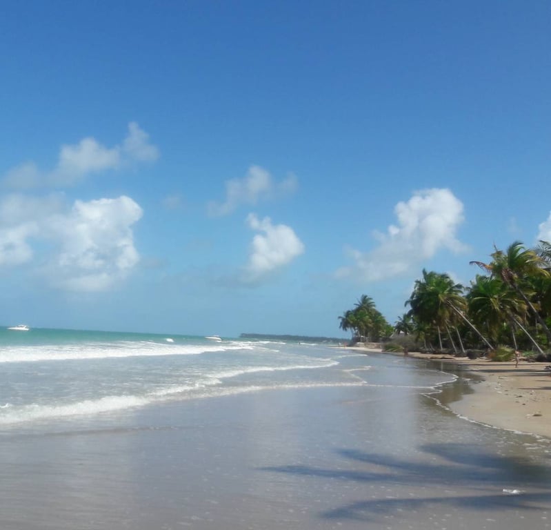 Photo of Hibiscus Beach in St. Croix