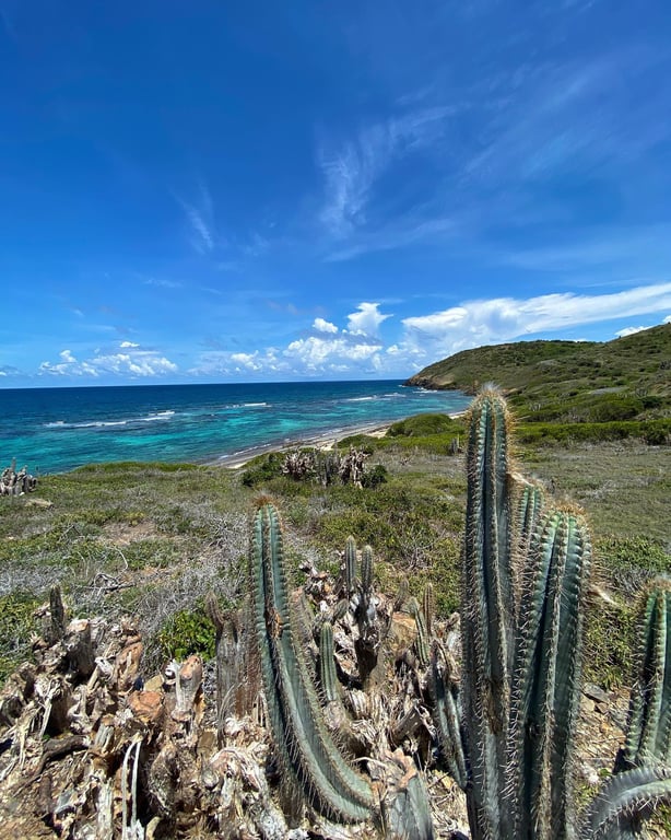 Photo of Isaac's Bay & Jack's Bay Beach in St. Croix