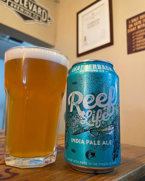 Leatherback Brewing Tasting Rm