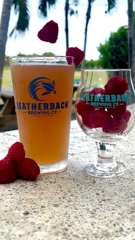 Photo of Leatherback Brewing Tasting Rm in St. Thomas