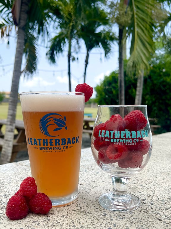 Photo of Leatherback Brewing Tasting Rm in St. Thomas