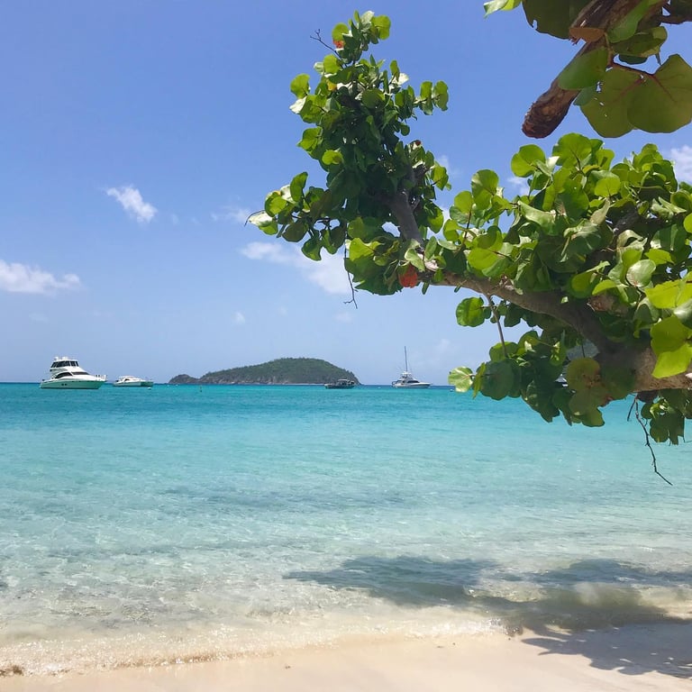 Photo of Skinny Legs in St. John