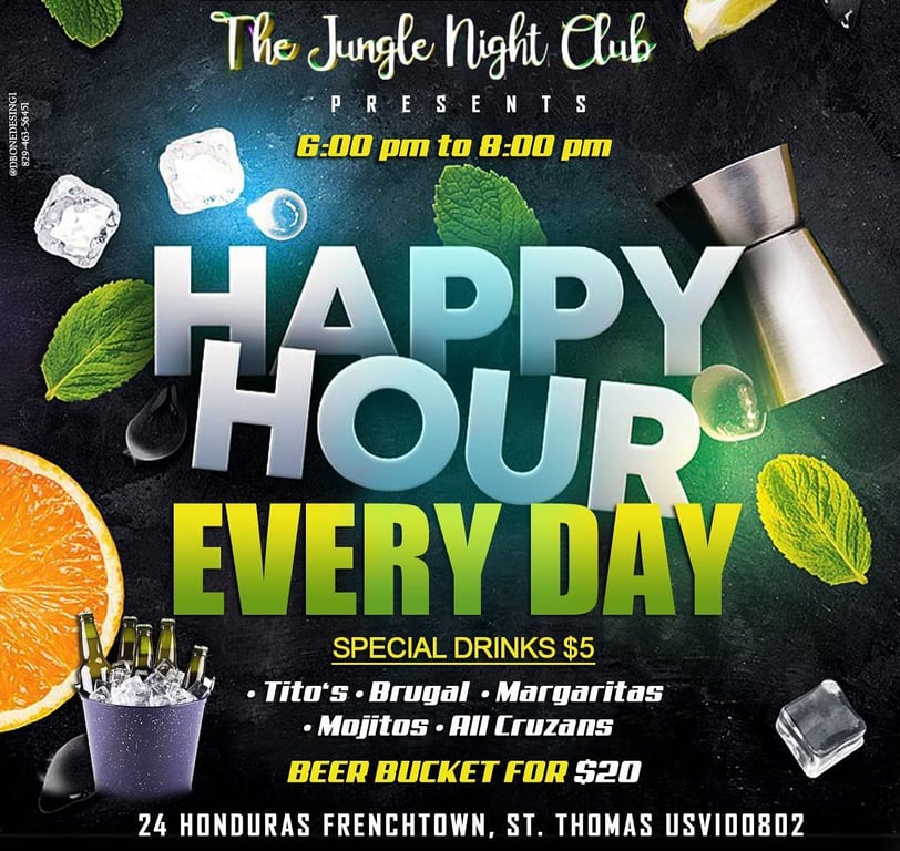 Photo of The Jungle Night Club in St. Thomas