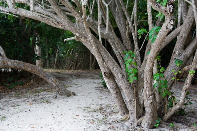 Photo of Magens Bay Beach in St. Thomas