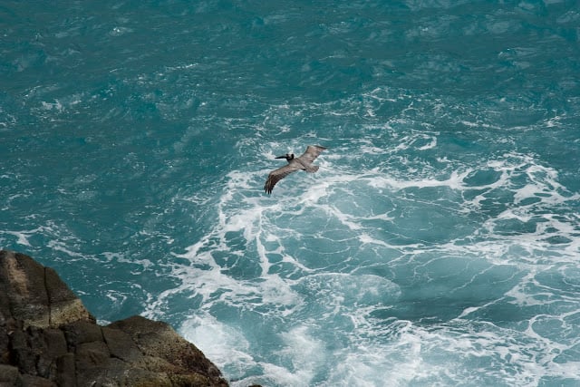 Photo of Magens Bay Beach in St. Thomas