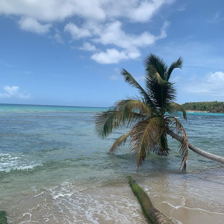 Neltjeberg Bay Beach