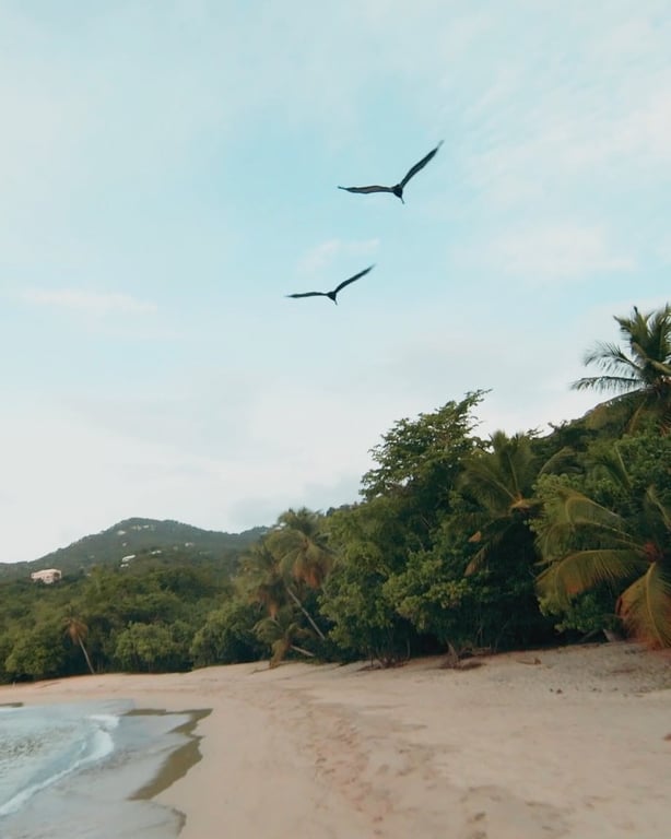 Photo of Neltjeberg Bay Beach in St. Thomas