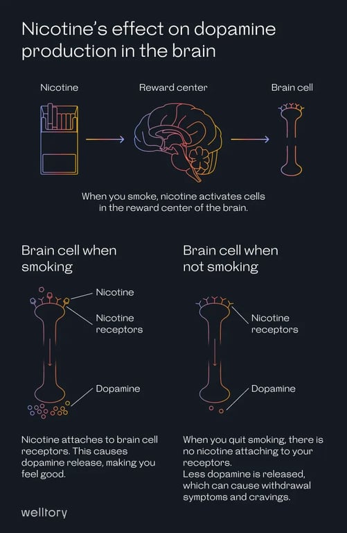 Diagram showing how nicotine affects adrenaline