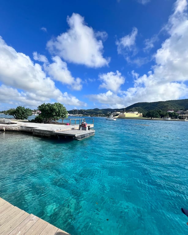 Photo of Protestant Cay Beach in St. Croix