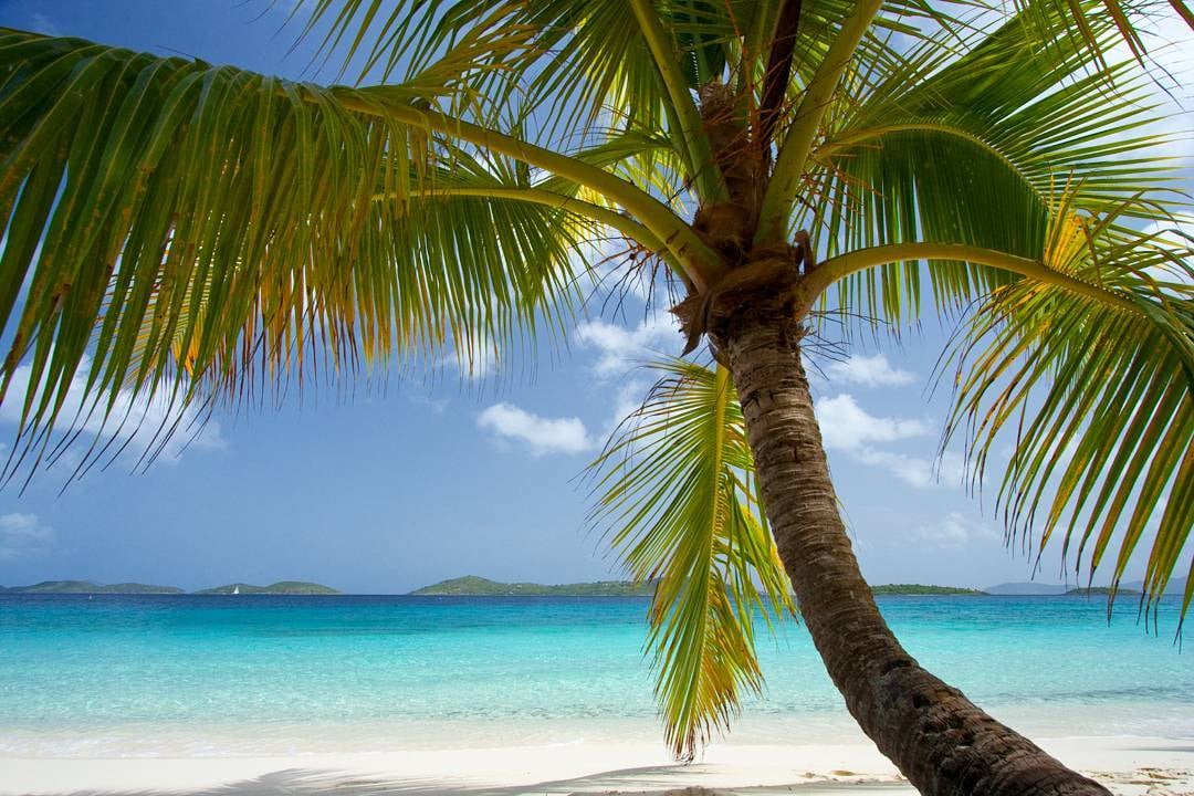 Photo of Salomon Beach in St. John