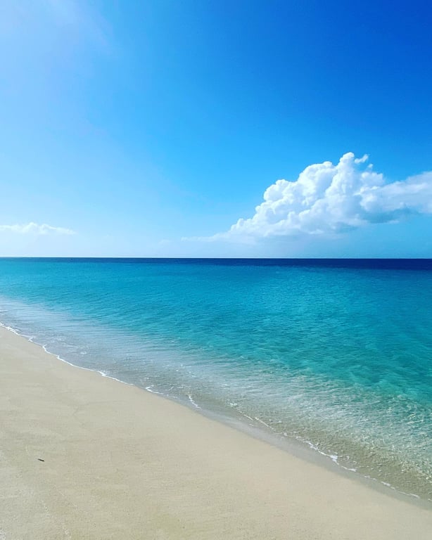 Photo of Sandy Point Beach in St. Croix