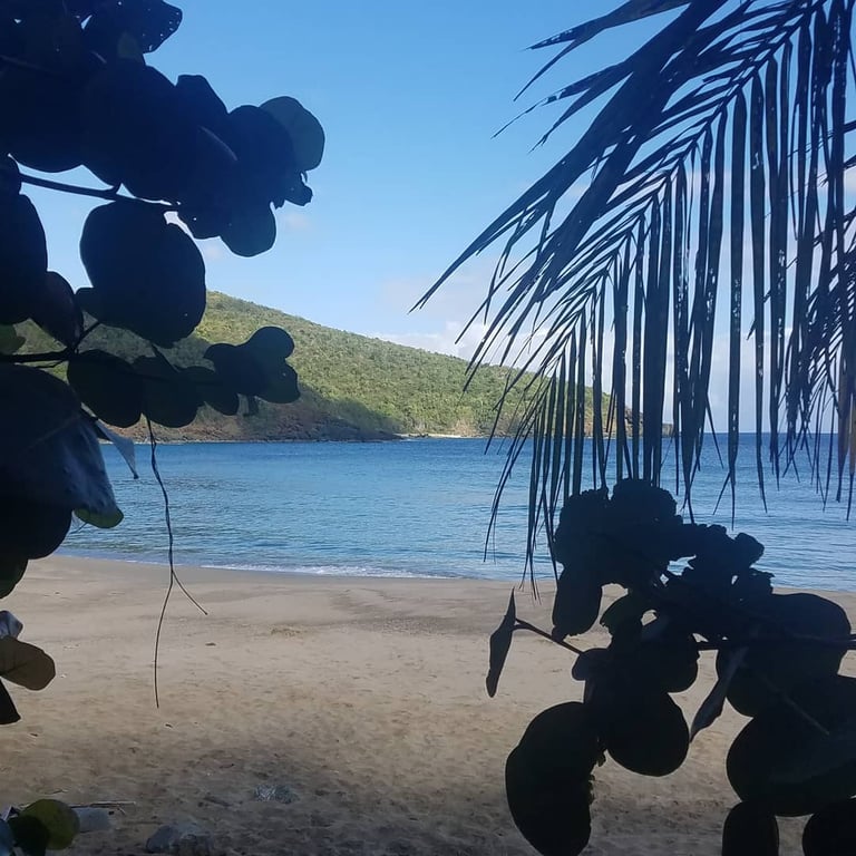 Photo of Santa Maria Beach in St. Thomas