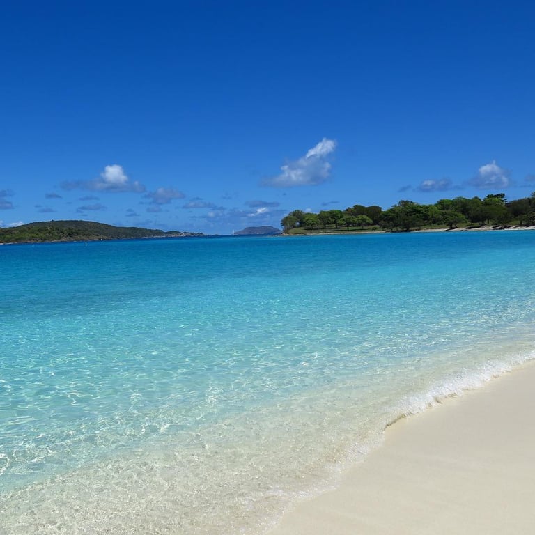 Scott Bay Beach