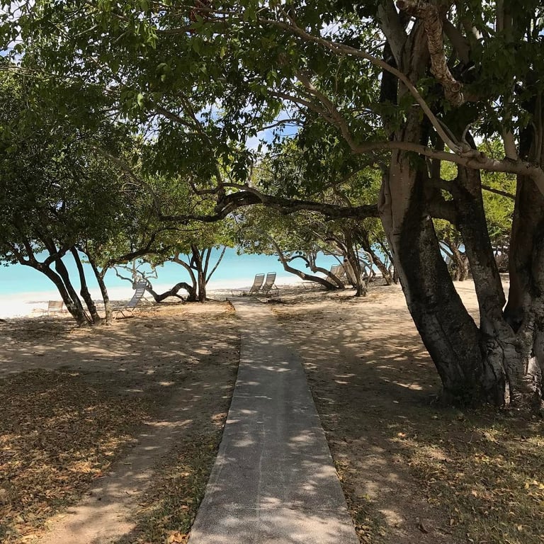 Photo of Scott Bay Beach in St. John