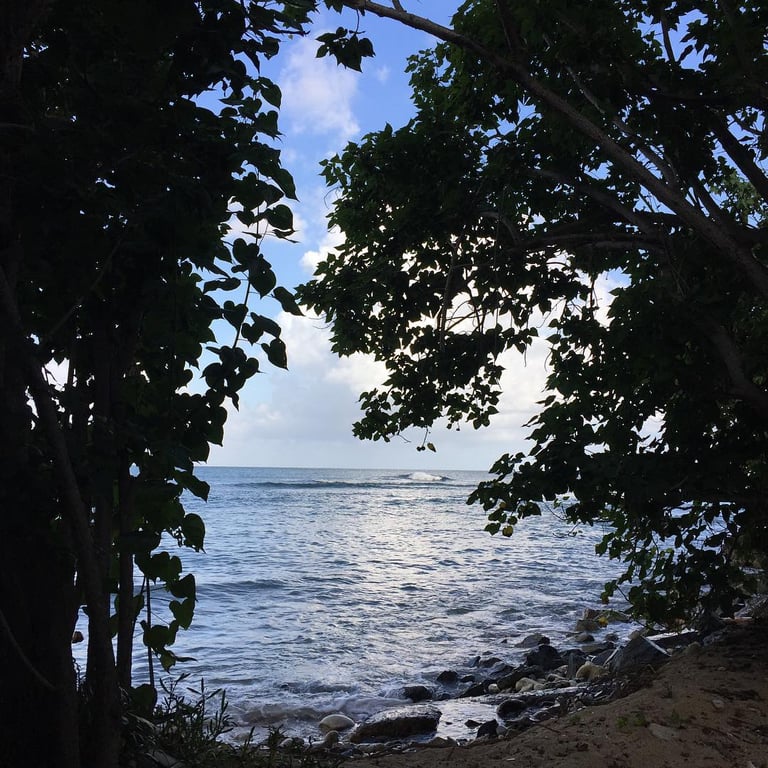 Photo of Shoys Beach in St. Croix