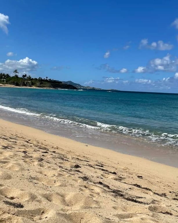 Photo of Shoys Beach in St. Croix